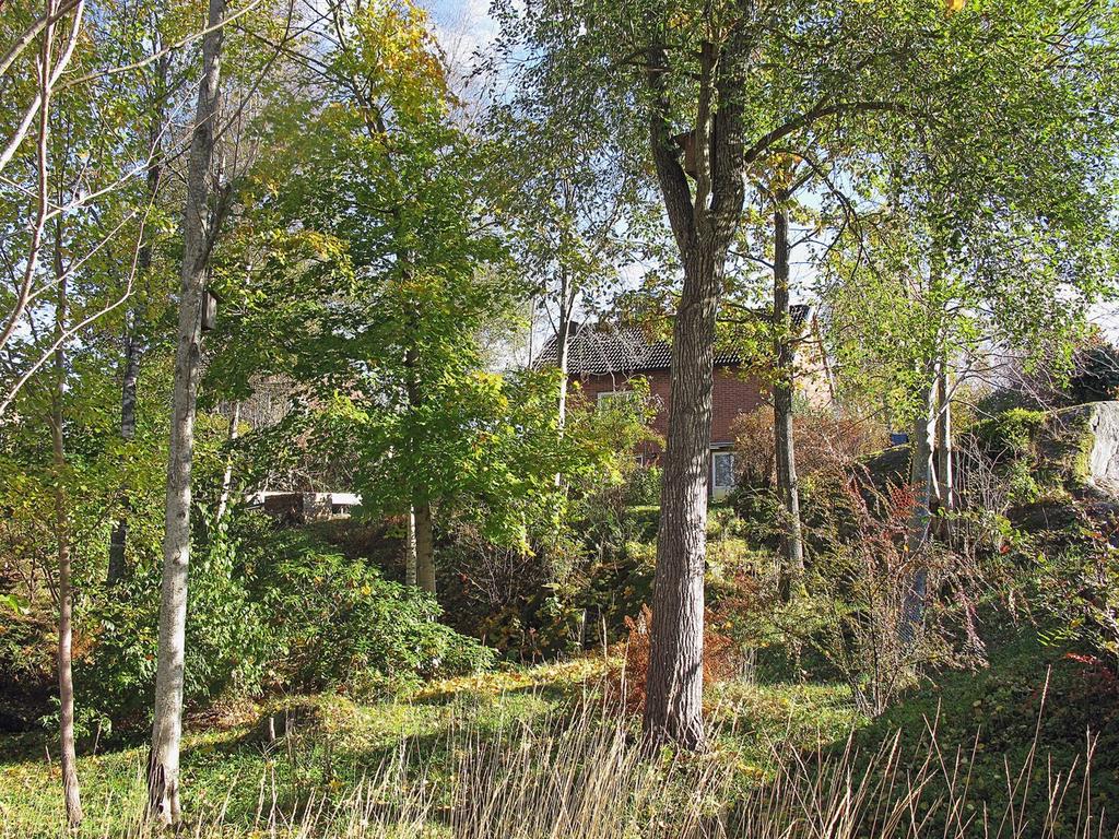 Baksida - 
Säljarens bild från några år tillbaka. Parken är i behov av röjning.