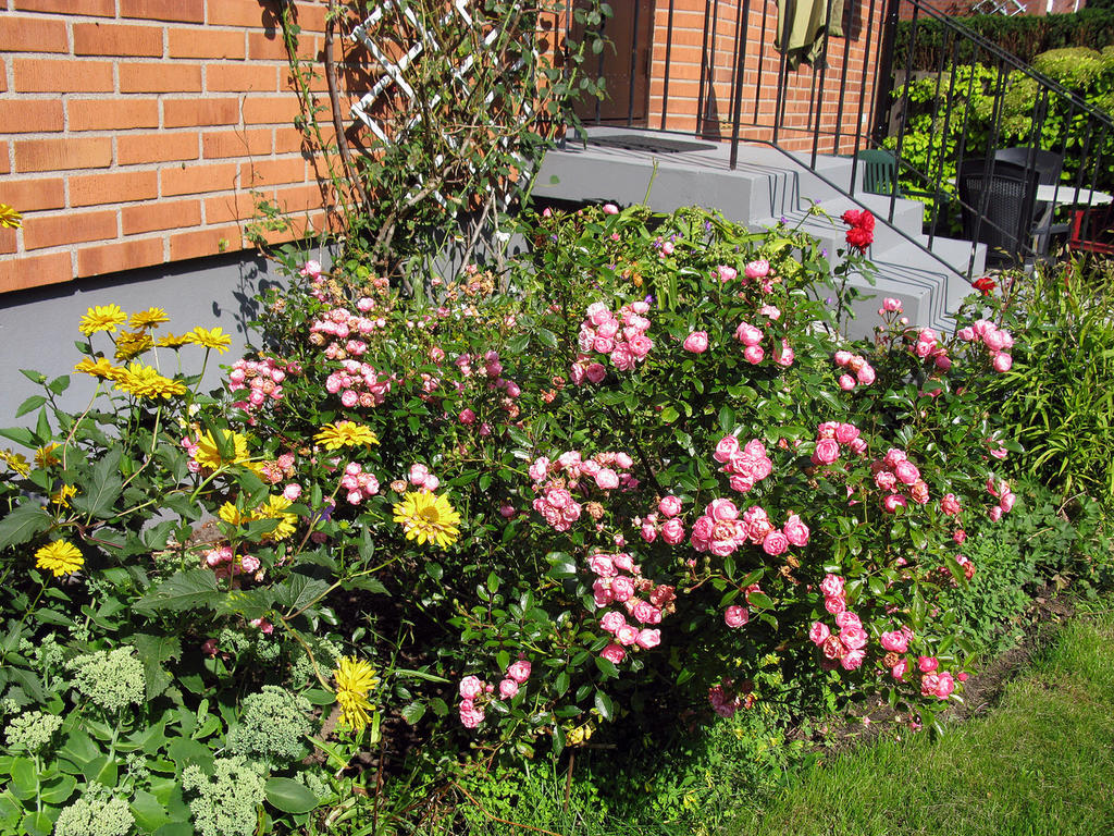 Rabatt - 
Säljarens bild från några år tillbaka