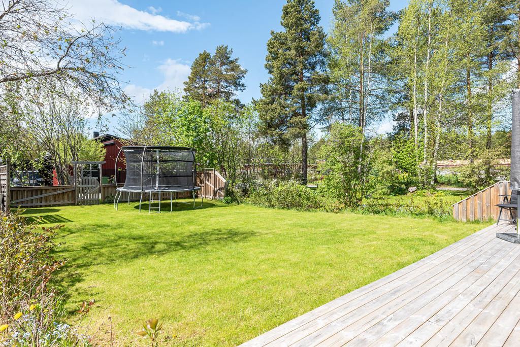 Trädgården