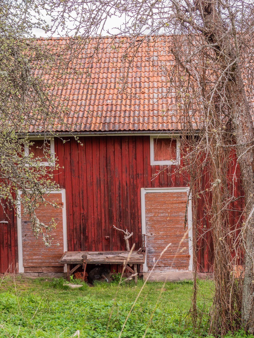 Magasinet