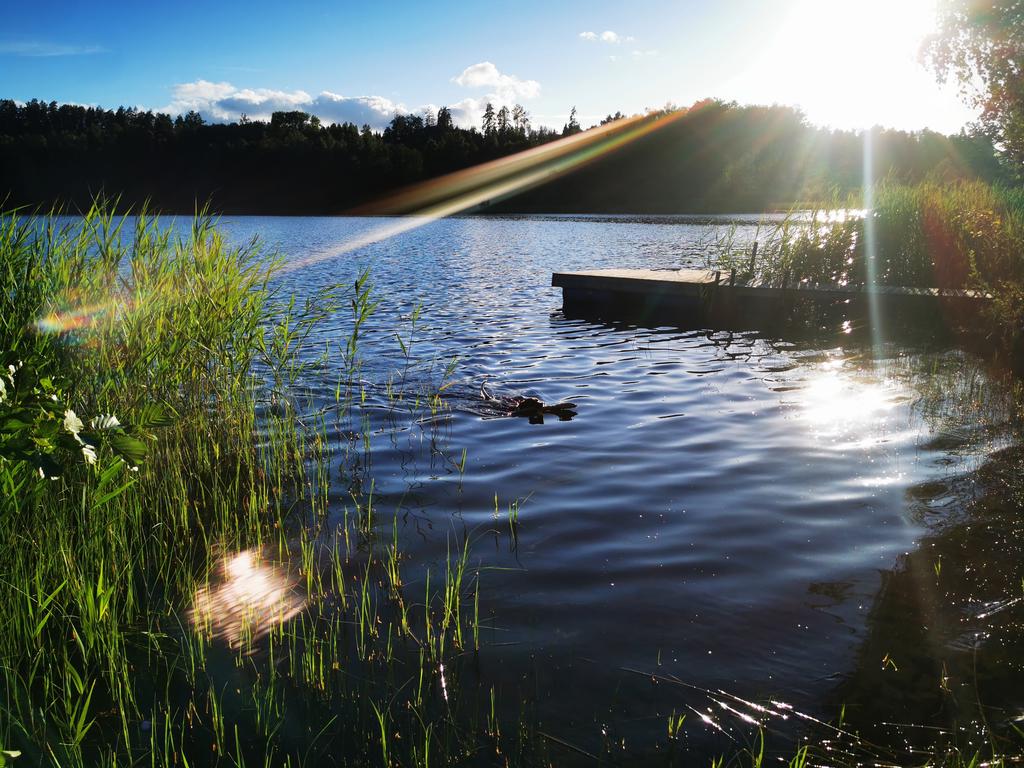 Säljarens bild