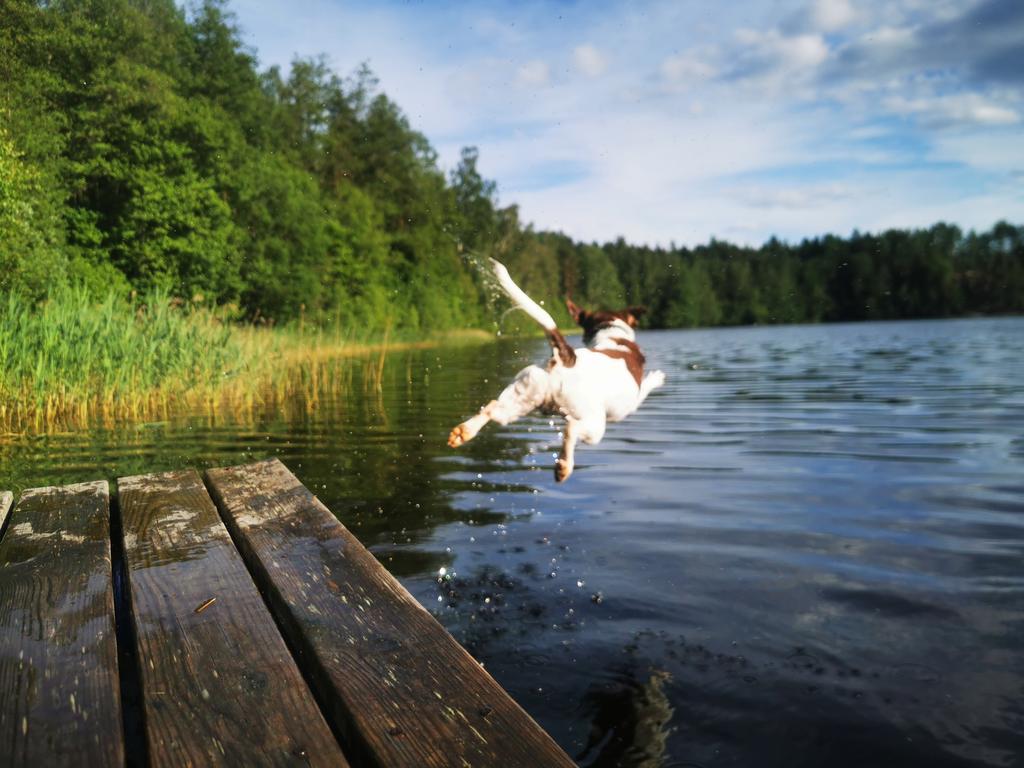 Säljarens bild