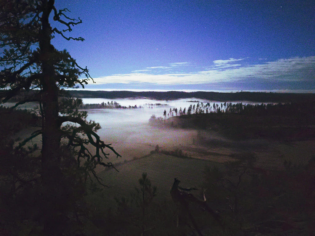 Säljarens bild