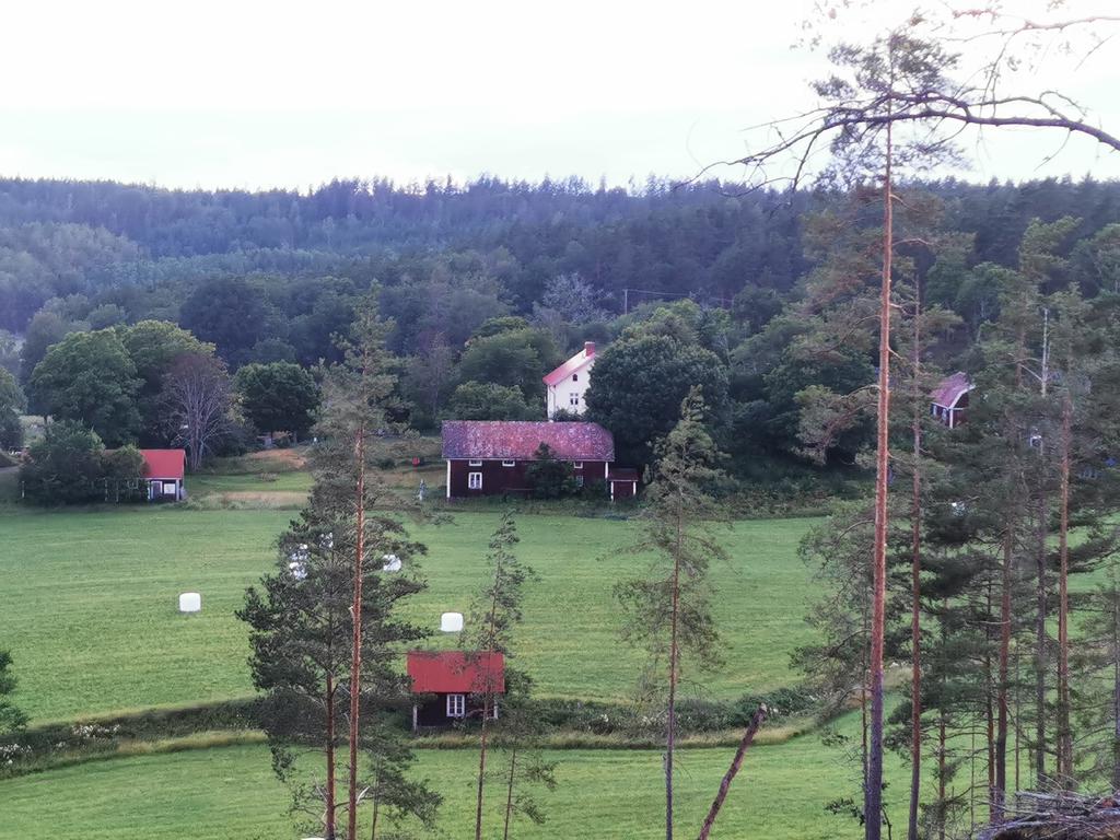 Säljarens bild