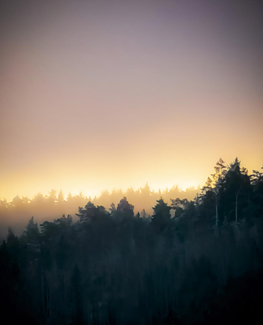Säljarens bild