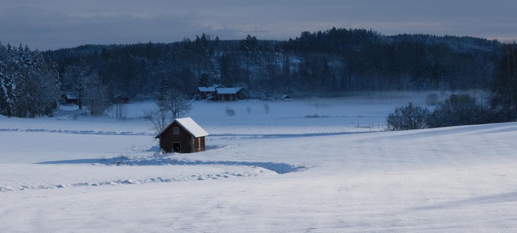 Säljarens bild