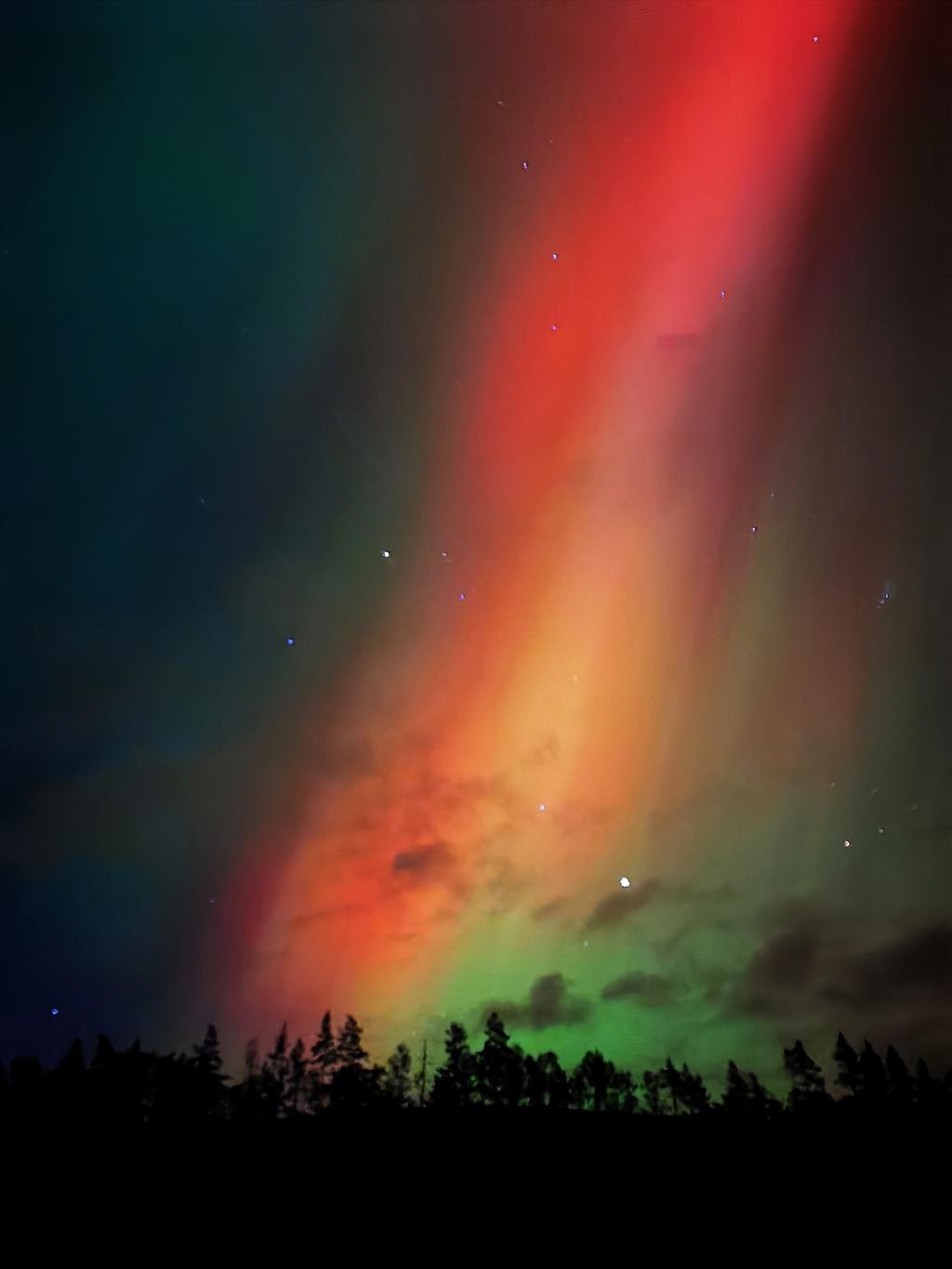 Säljarens bild