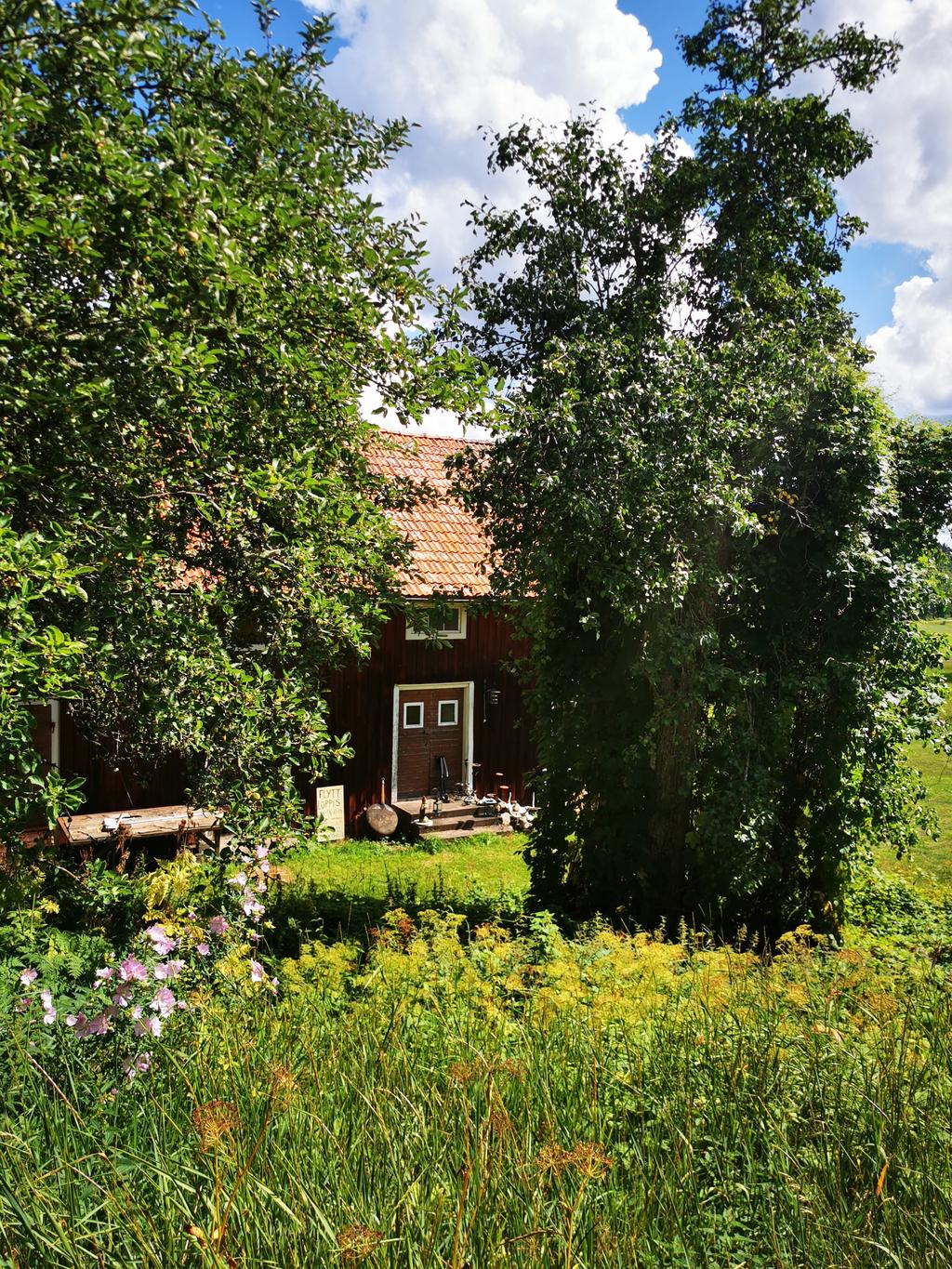 Säljarens bild