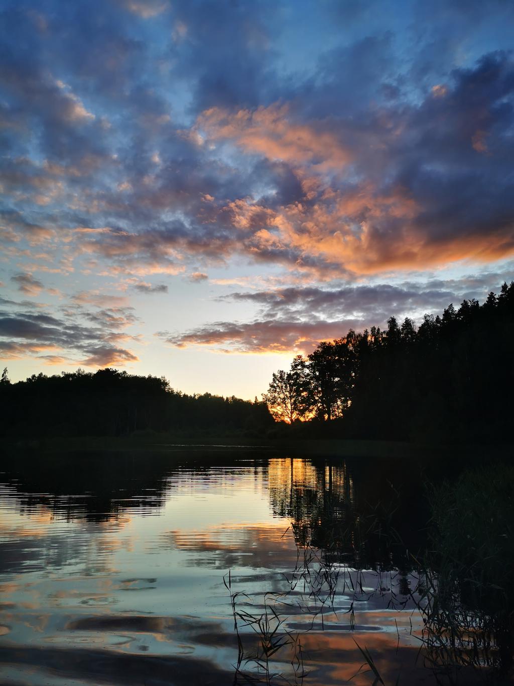 Säljarens bild