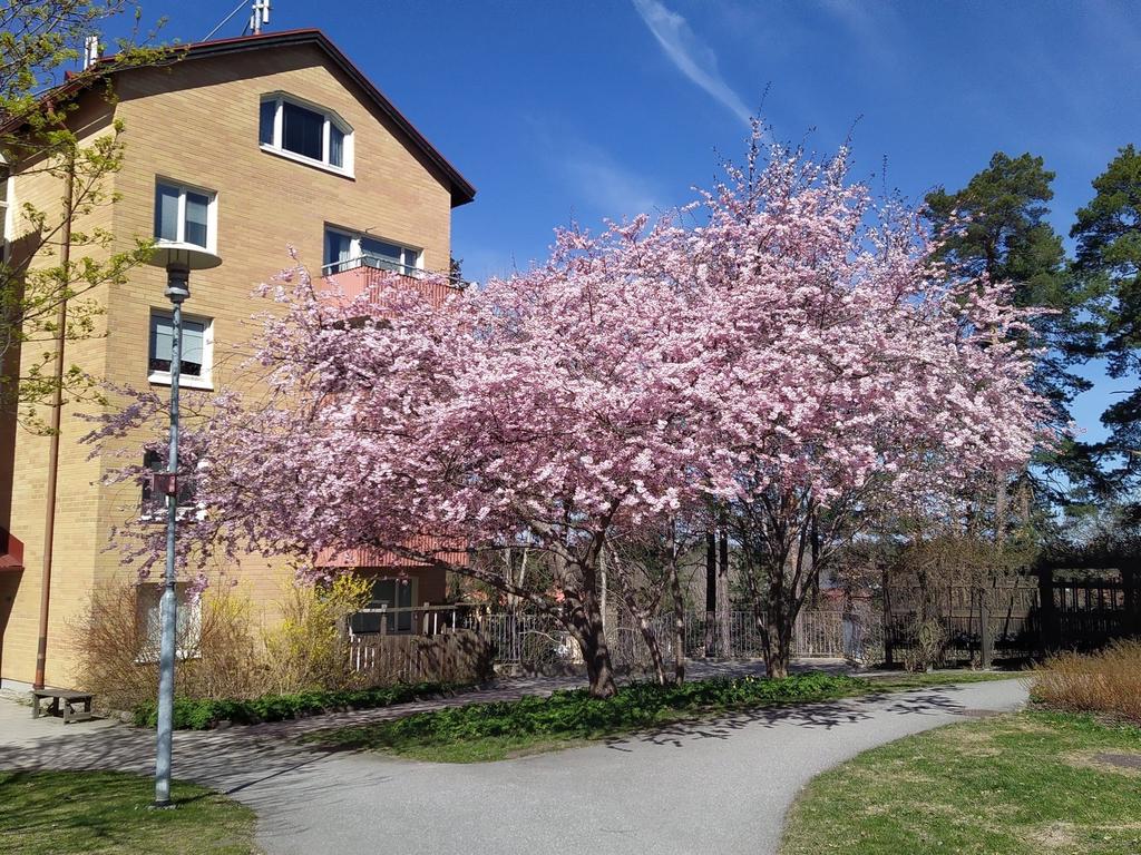 Säljarens egna bilder från april 2025