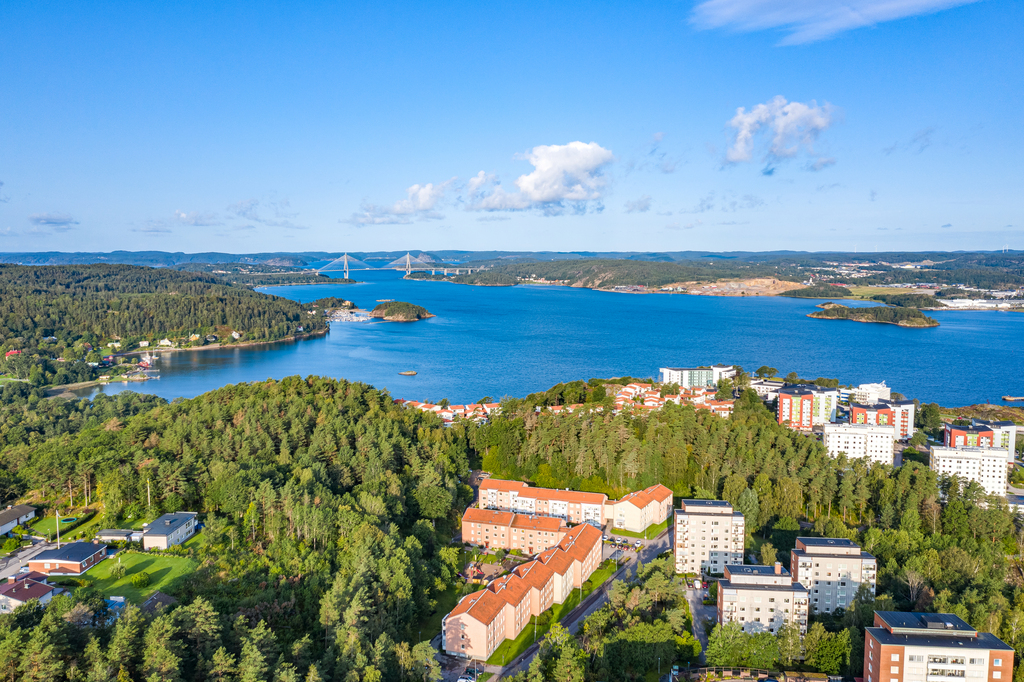 Områdesbild