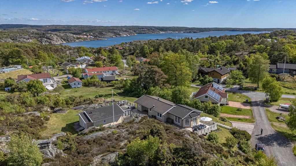 Drönarvy över vackra Körsbärsvägen 
