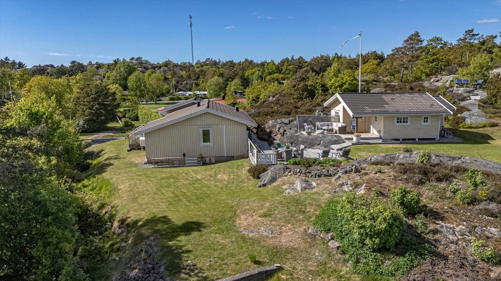 Trädgårds vy 