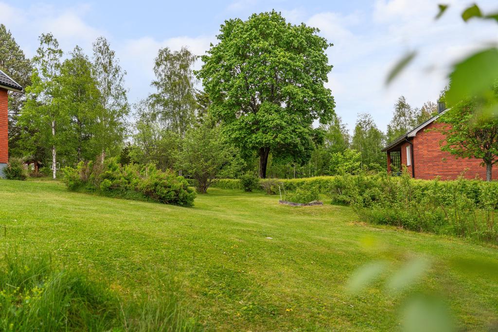 Trädgårdsbild
