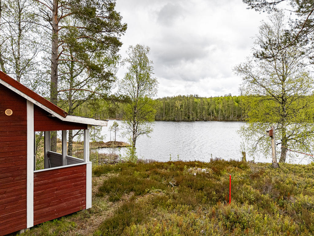 Utsikten från stugan
