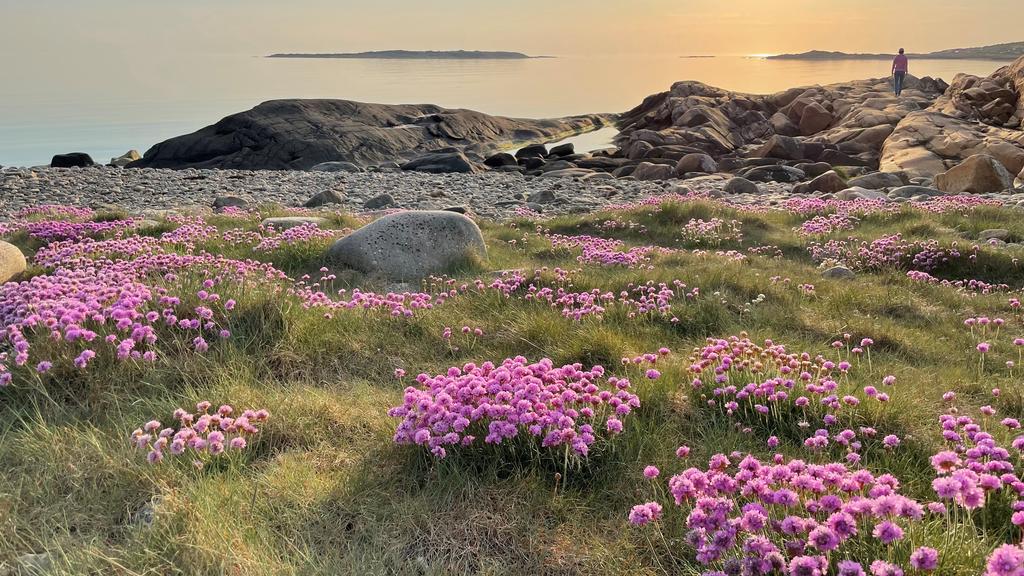 Säljarens bild