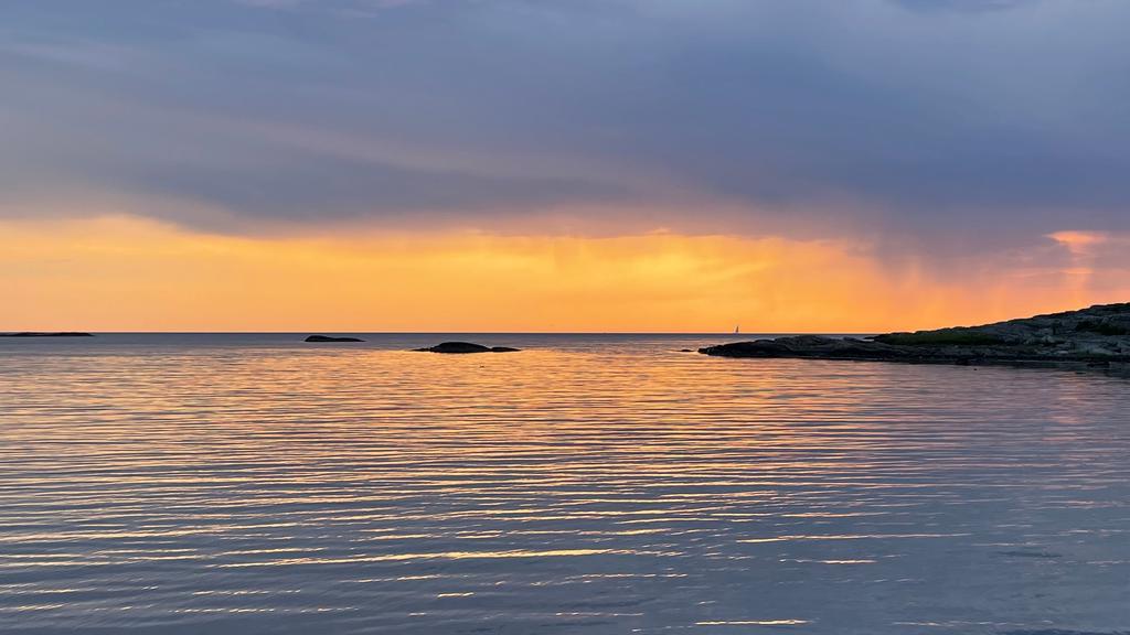 Säljarens bild