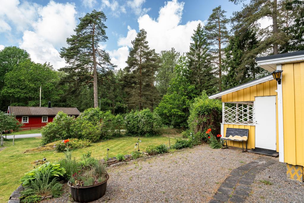 Mysig trädgård