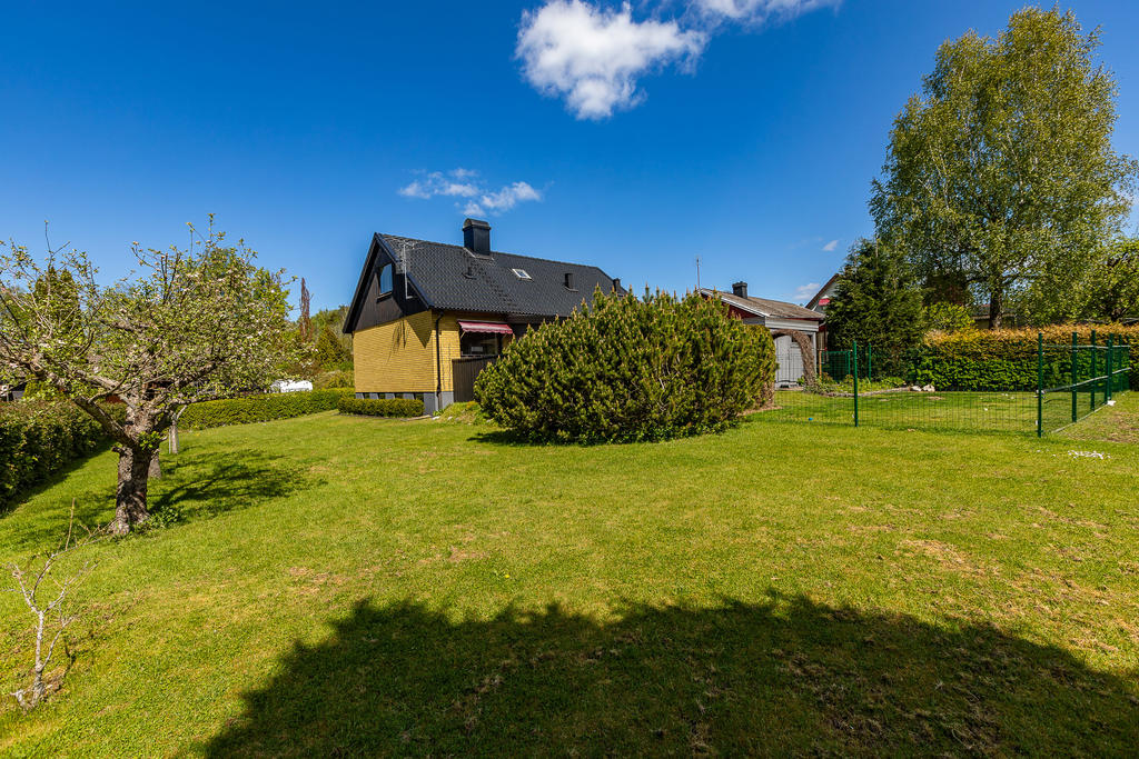 Solsäker baksida 