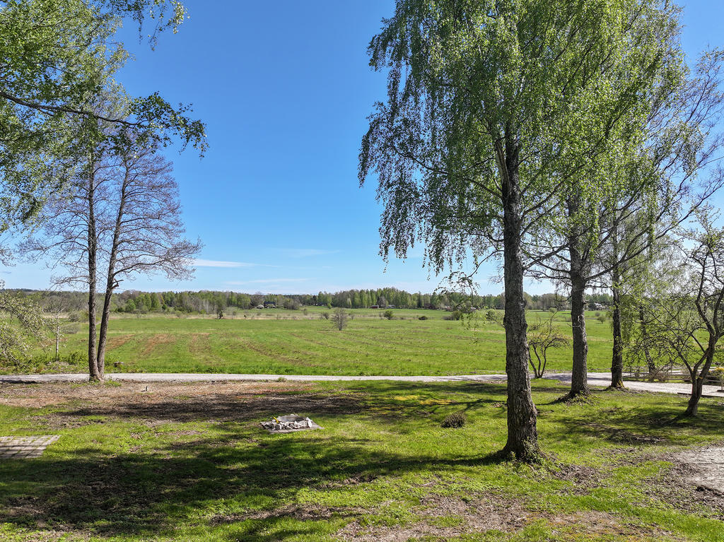 Utsikt från stugan 