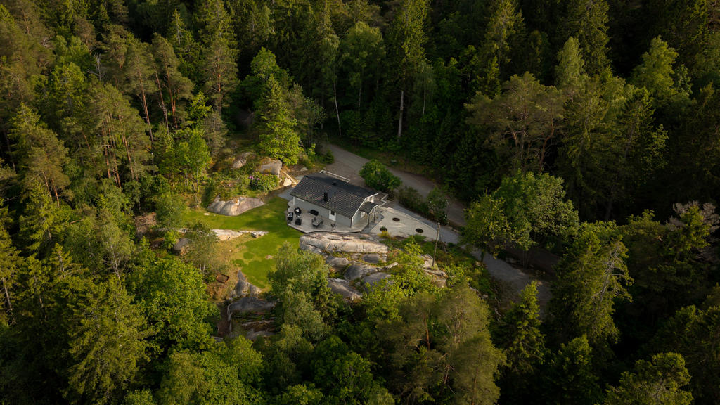 Drönarvy
