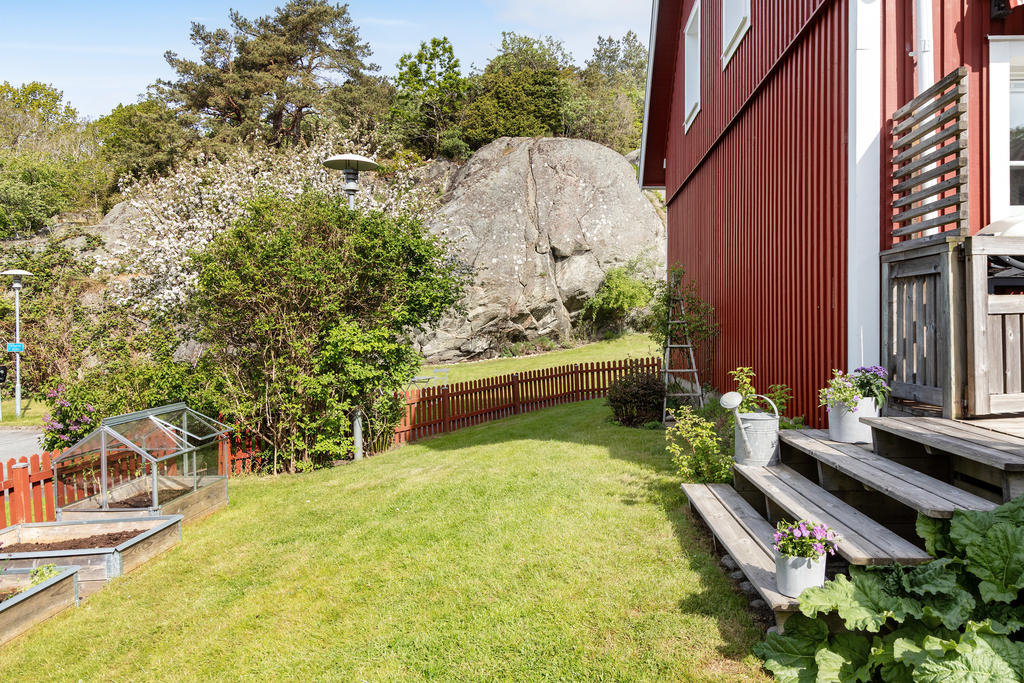 Mysig gräsmatta med plats för egna odlingar