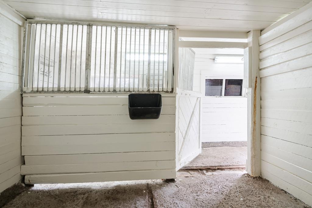 Ena boxen i stallet, den andra är likadan