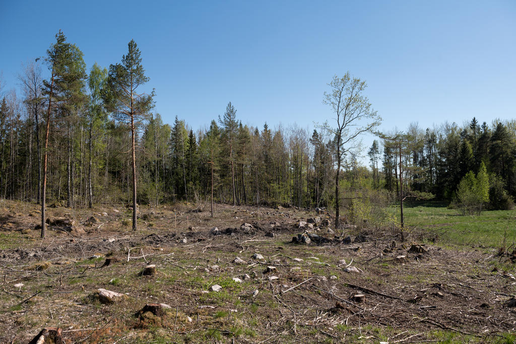 Område.