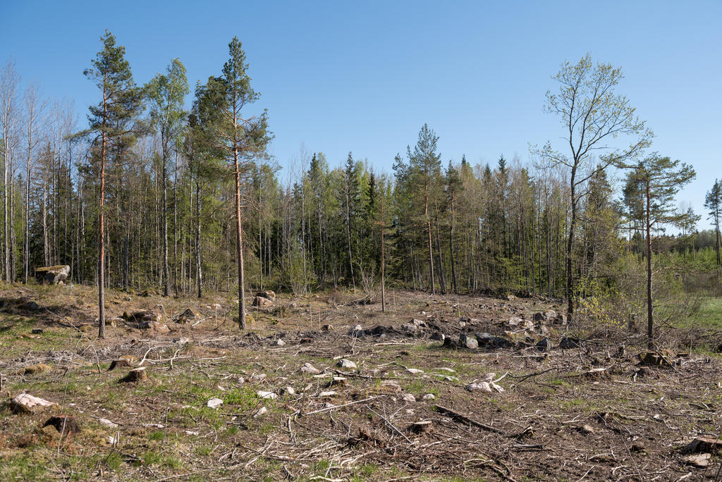 Område.