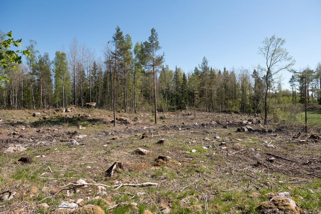 Område.