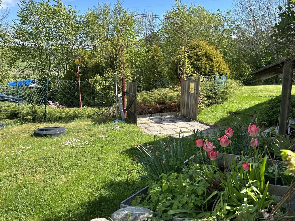 Säljarens sommarbild