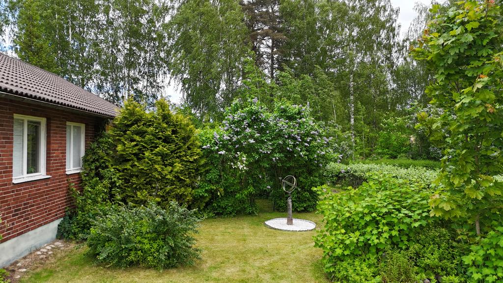 Trädgård