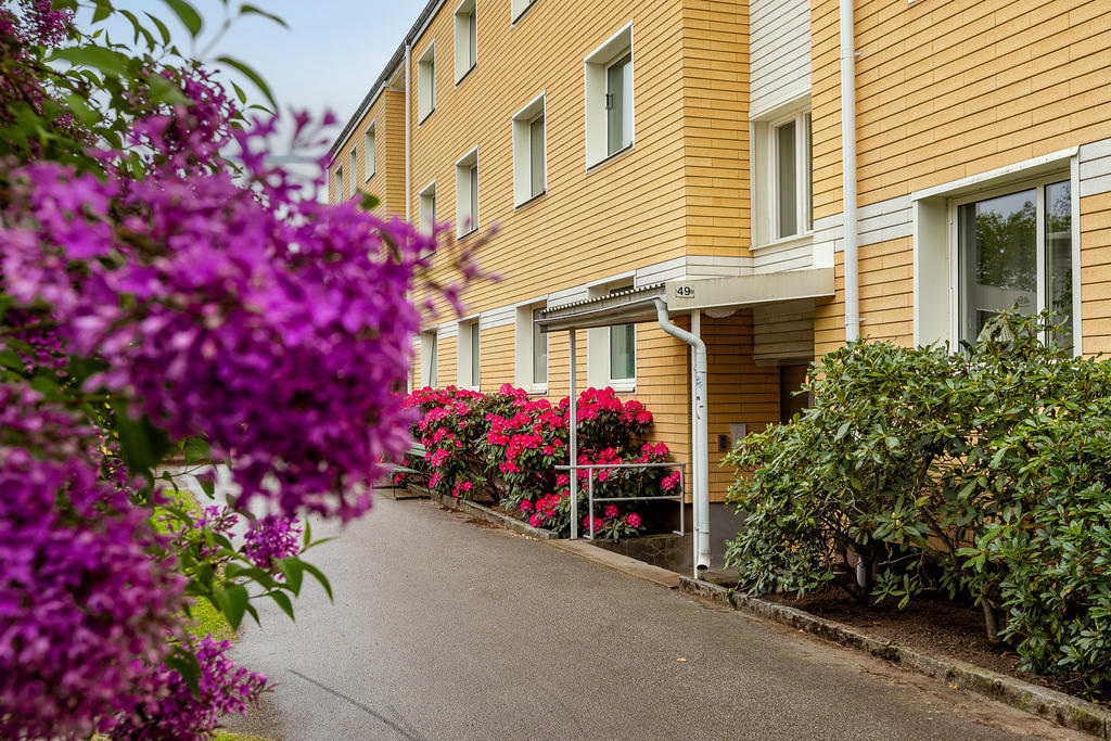 Syrener och rhododendron