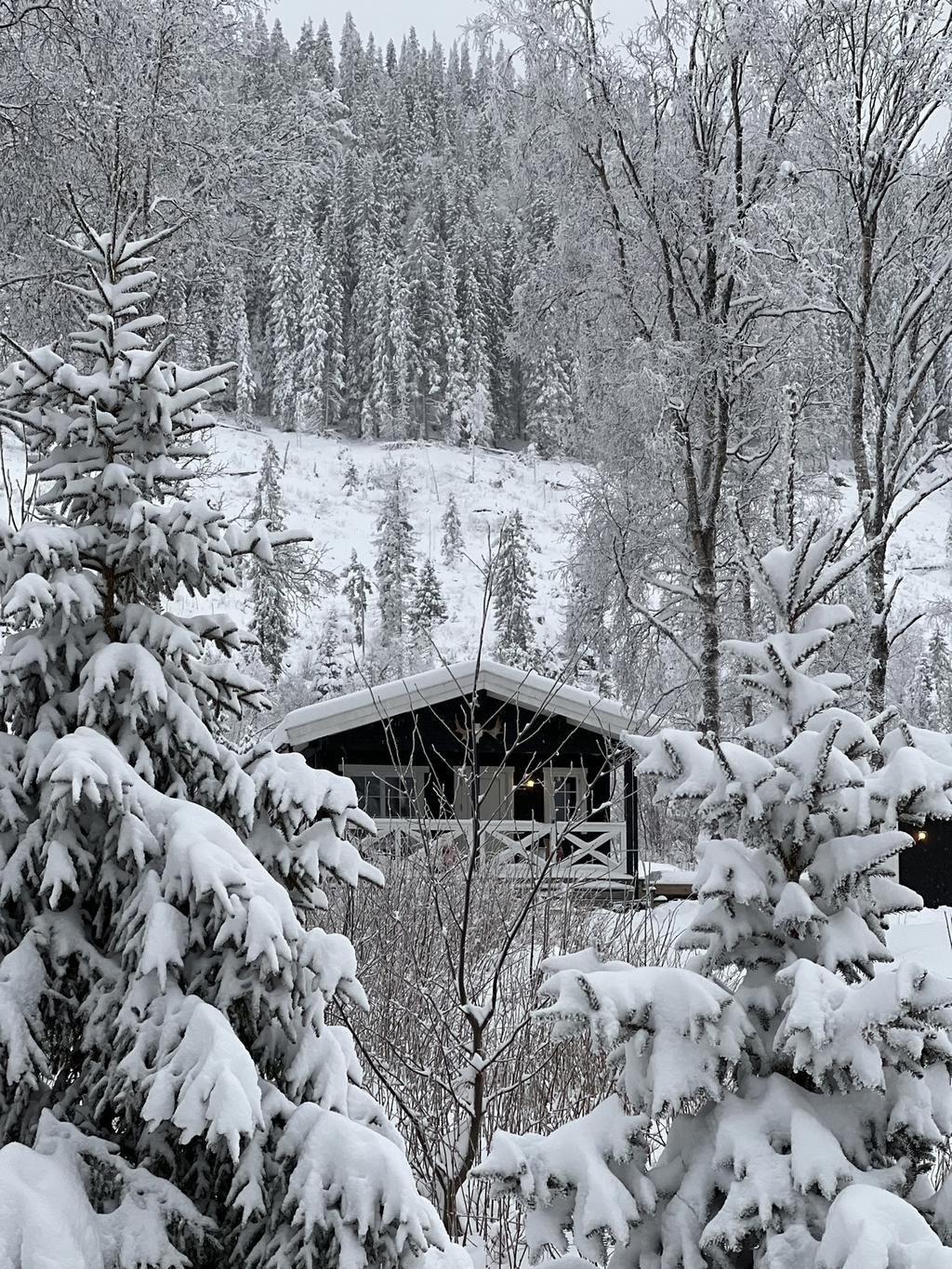 Ägarens privata vinterbild.