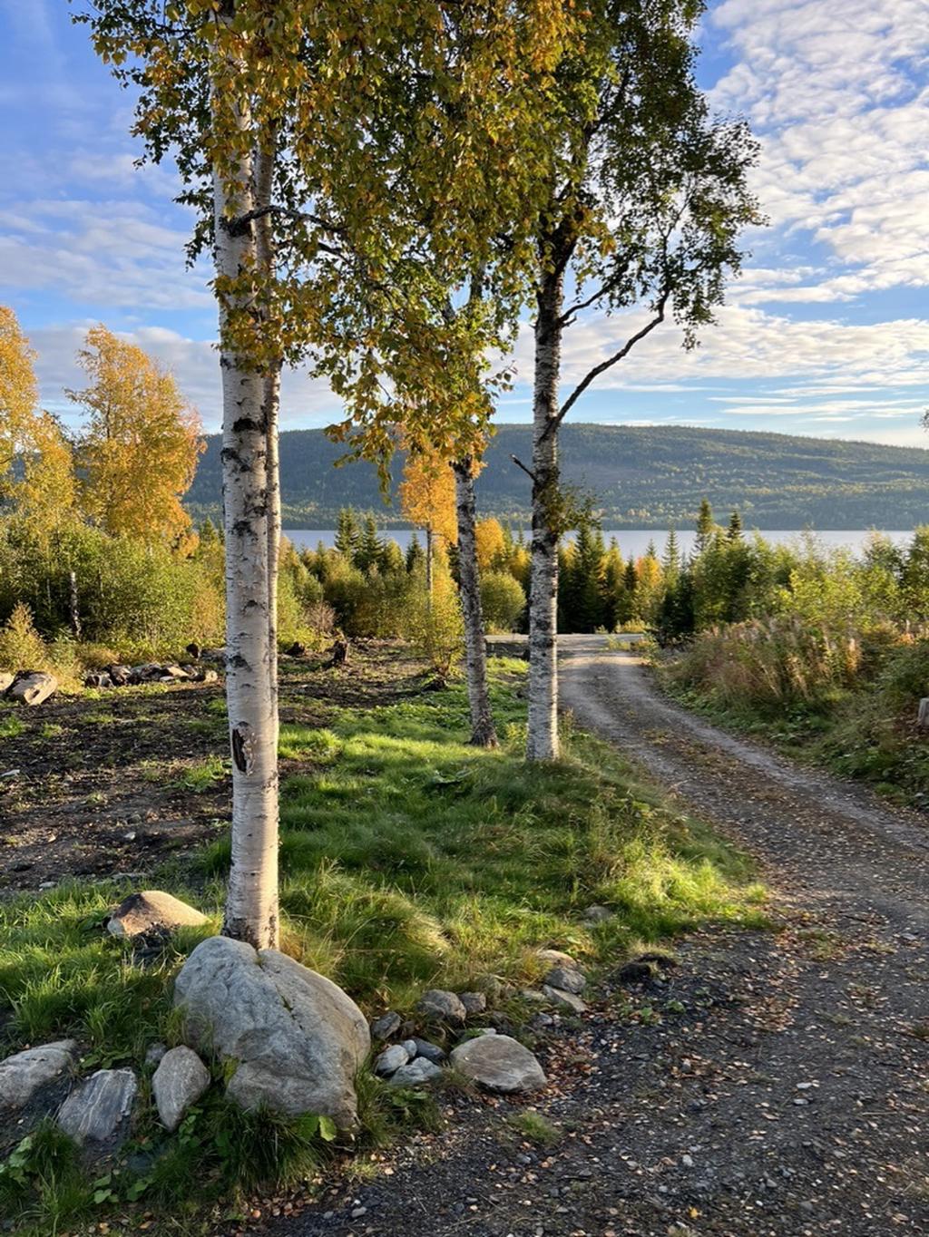 Ägarens privata höstbild.