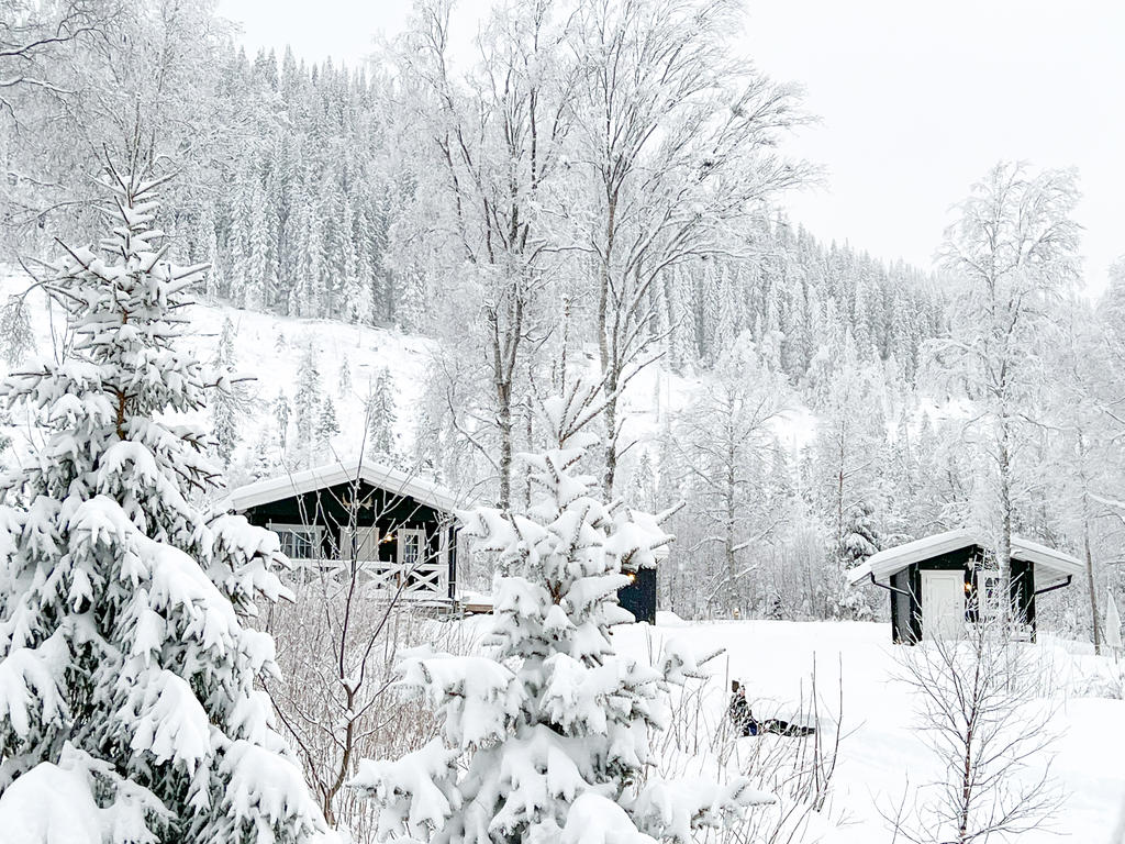 Ägarens privata bild.