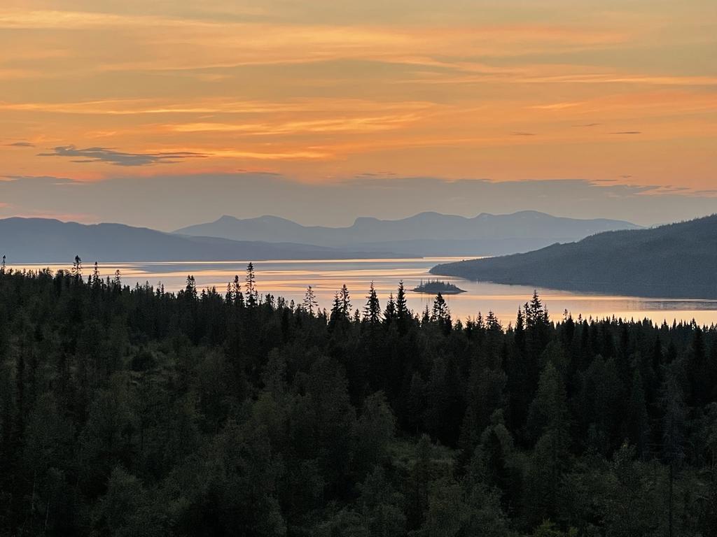 Ägarens privata bild