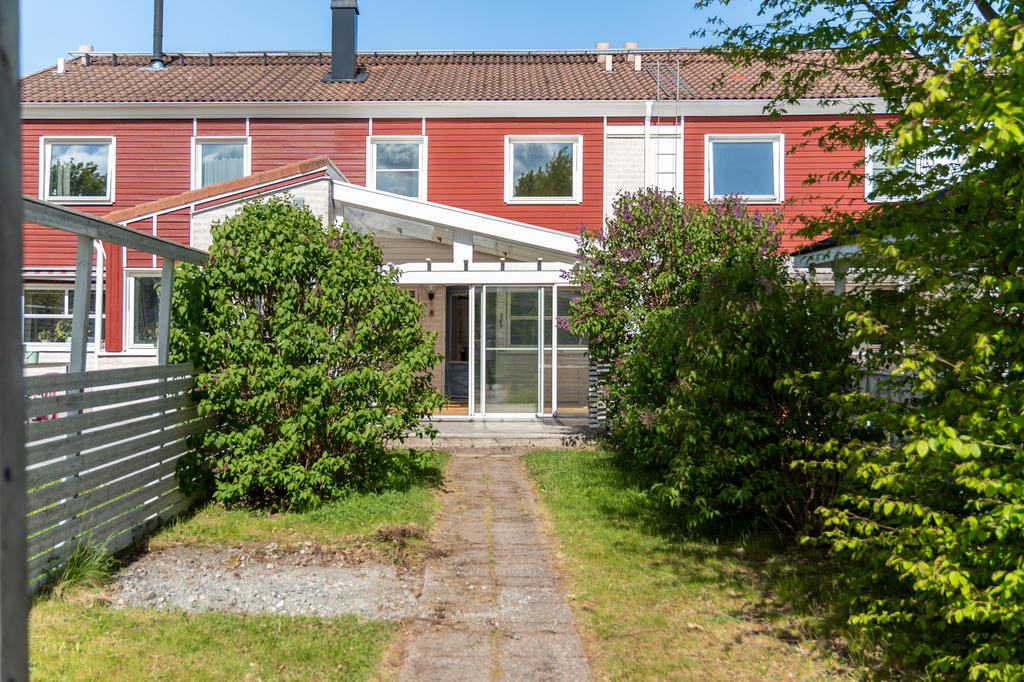 Trädgård med syrenhäck
