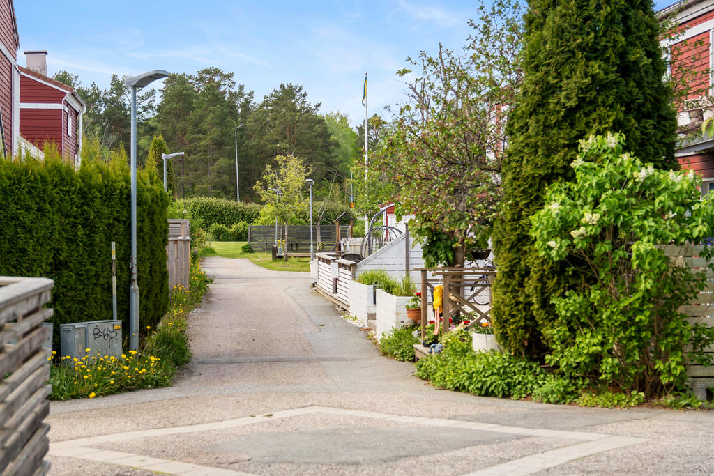 Mysigt område