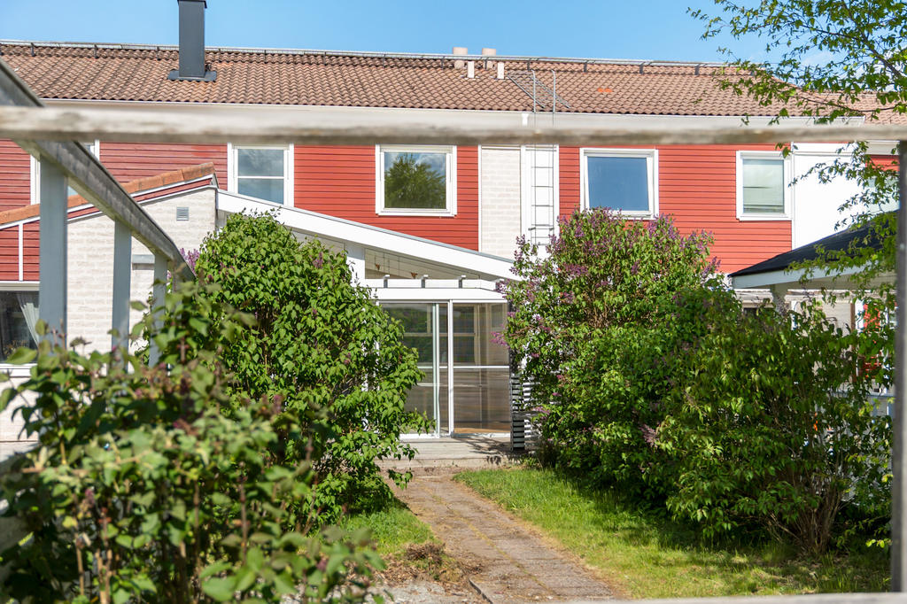 Grönskande trädgård