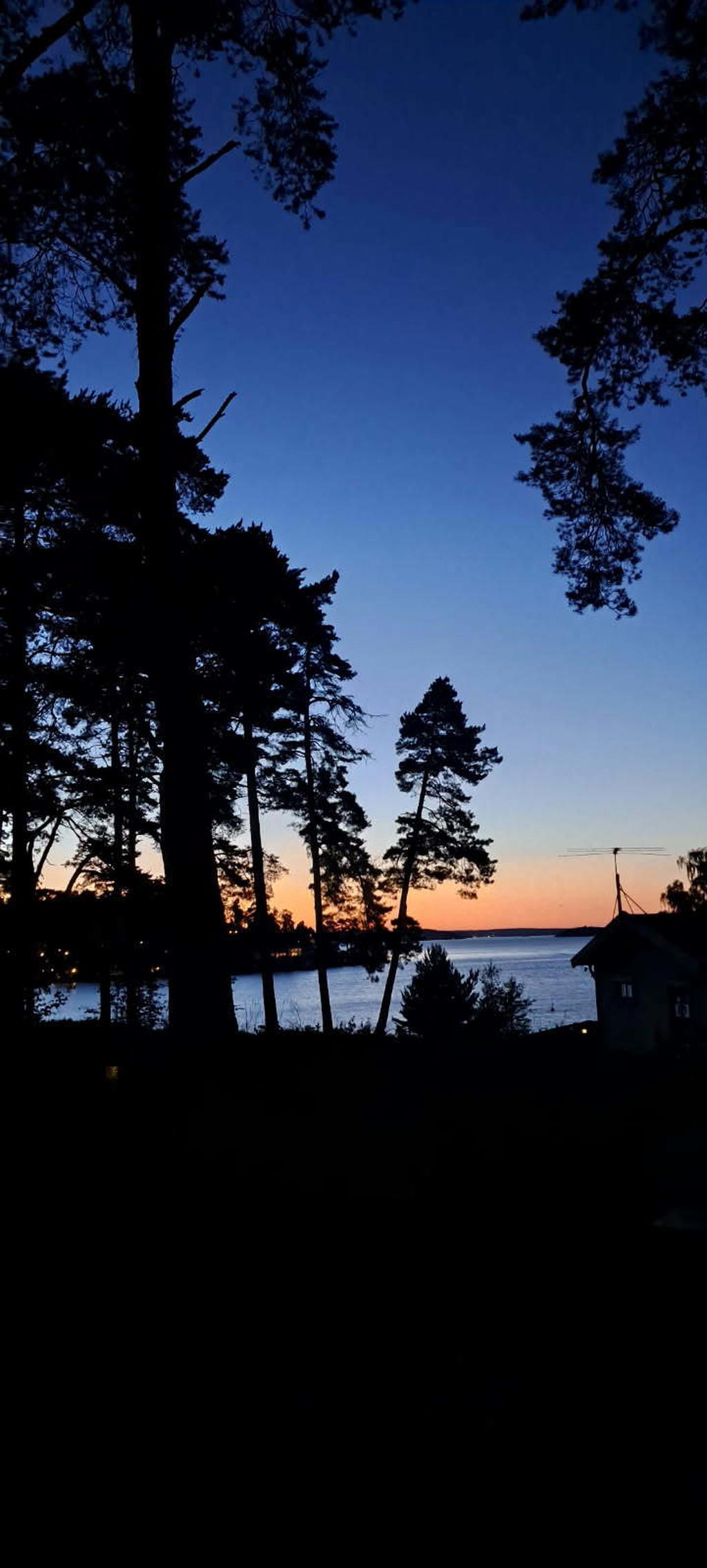 Ägarens egentagna bild på solnedgången