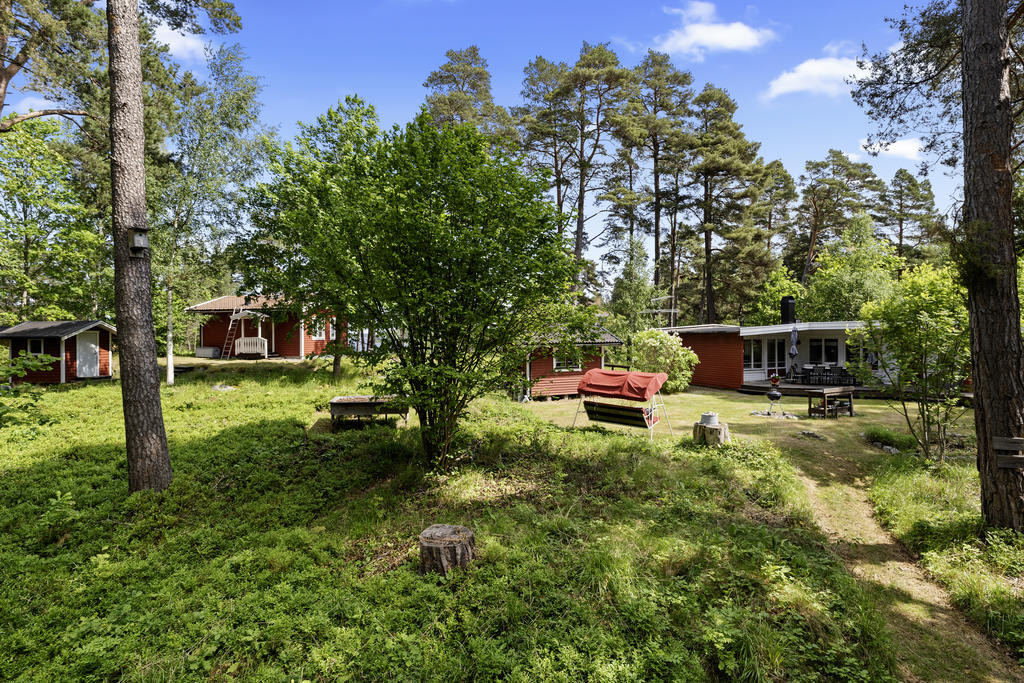 Vacker trädgårdstomt blandat med gräsmatta