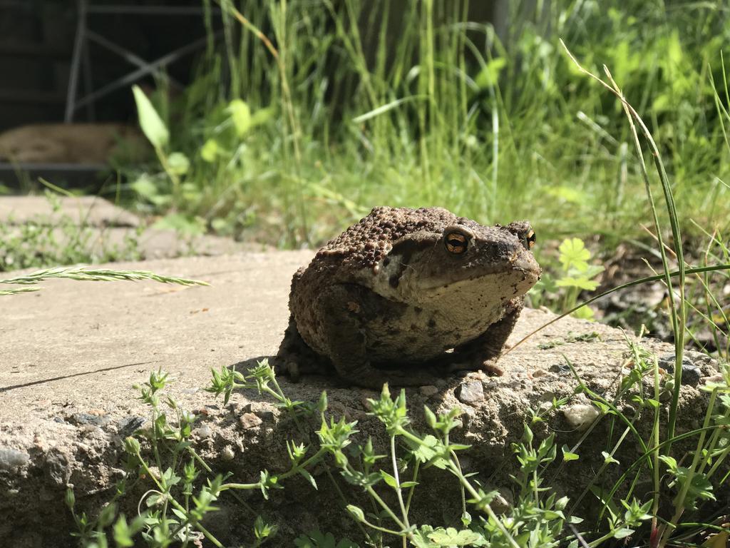 Säljarnas bild