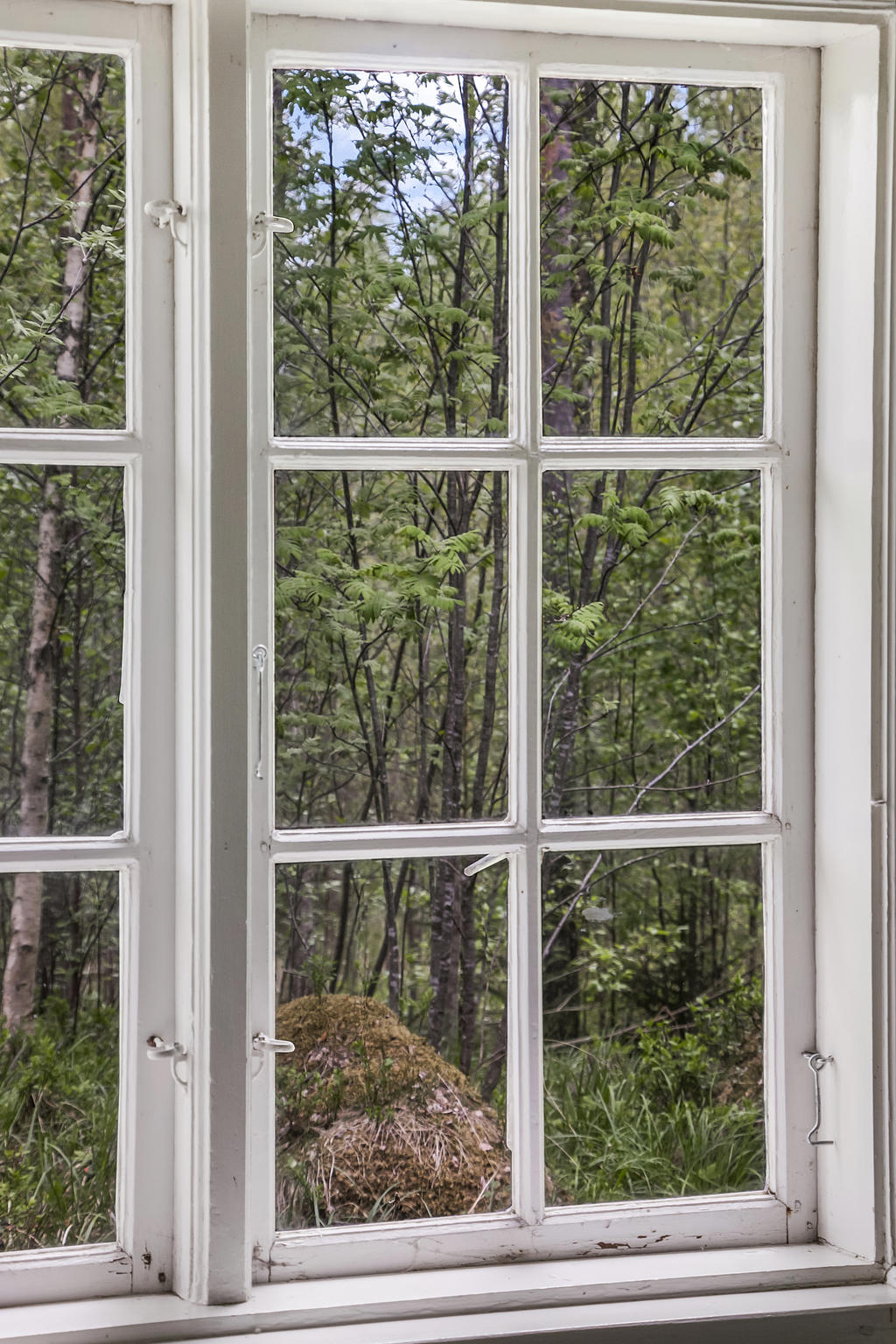 Detaljbild
