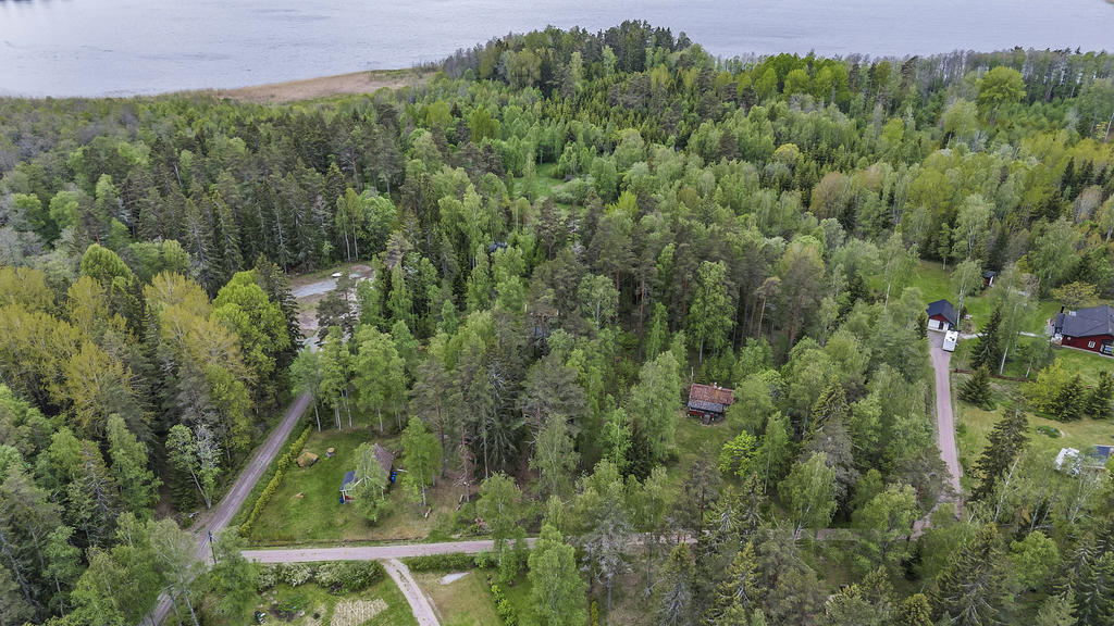 Bild från ovan