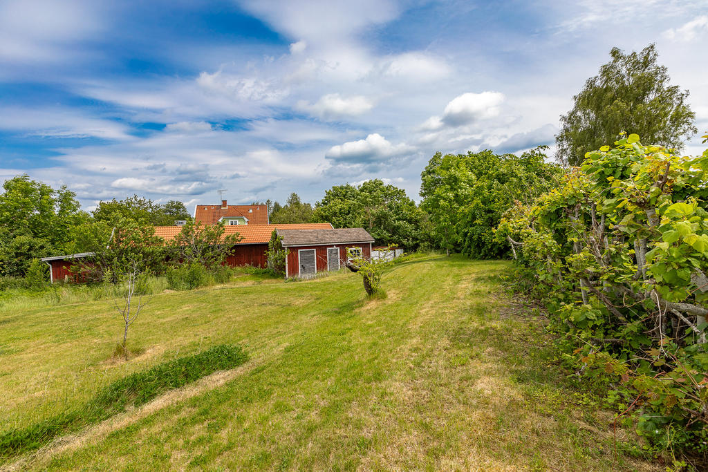 Trädgården