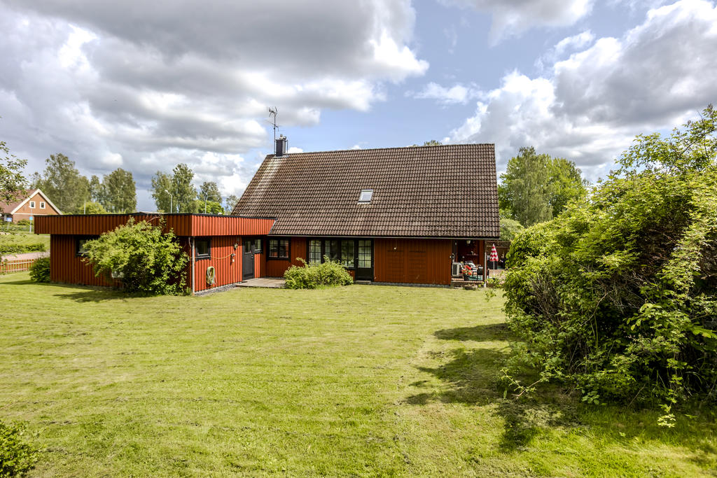 Stor trädgård