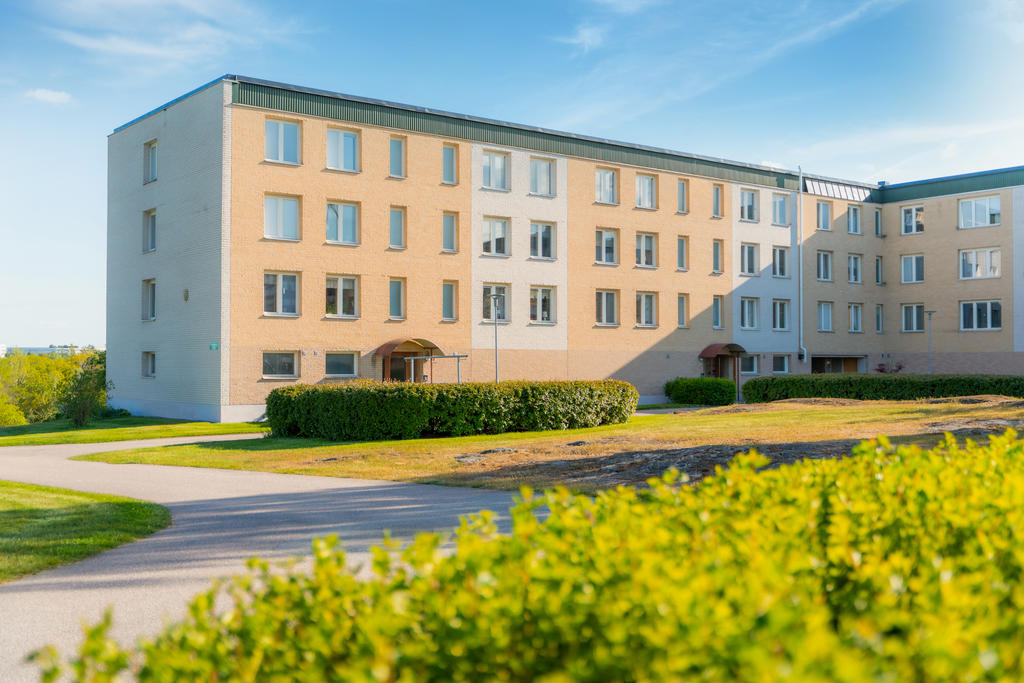 Fin grönskande utomhusmiljö