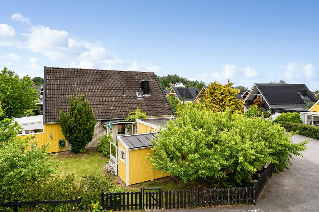 Hörntomt