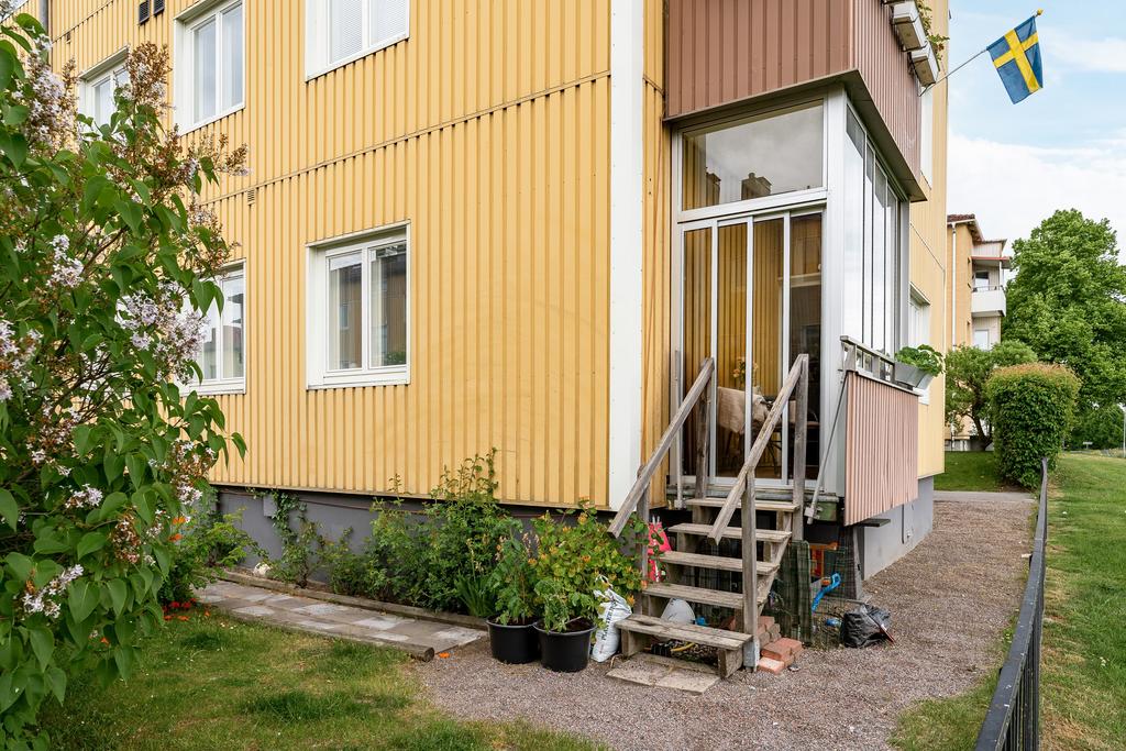 Trädgårdskänsla i en lägenhet!